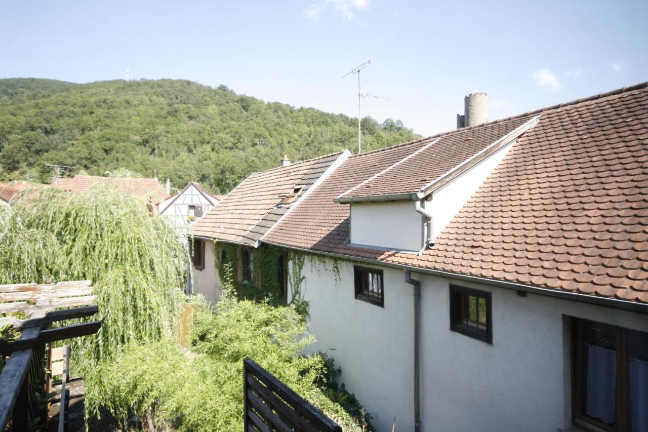 Appartement Le Keiler Kaysersberg-Vignoble Eksteriør billede